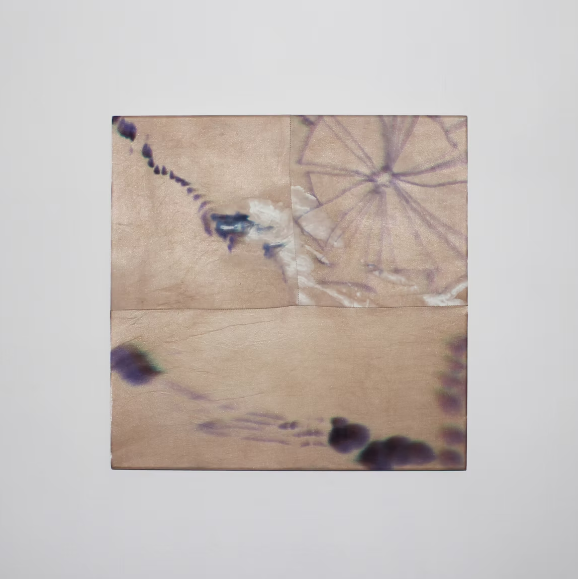 Eva Brá Barkardóttir