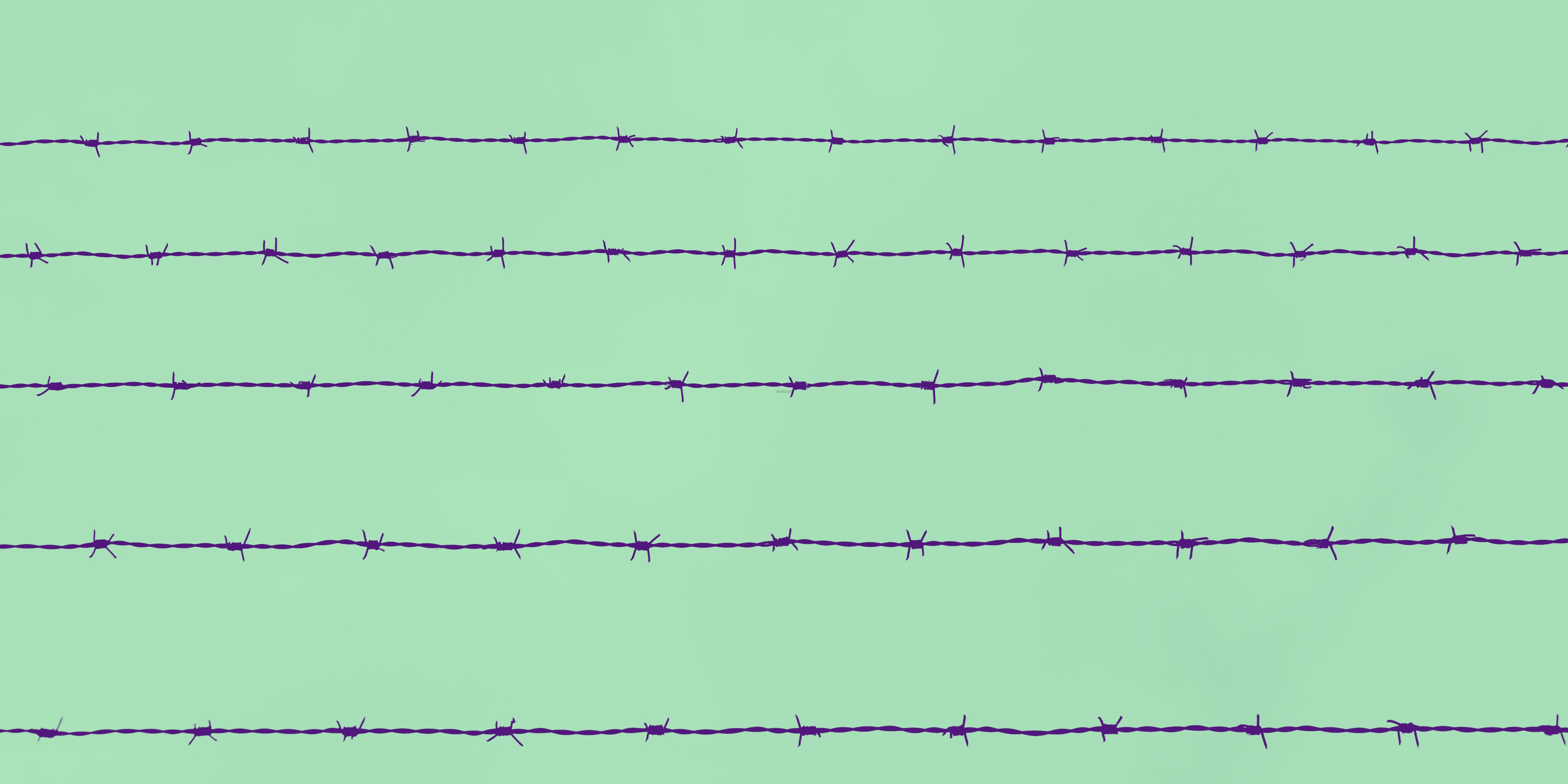 OPEN CELLS Exhibition 2022