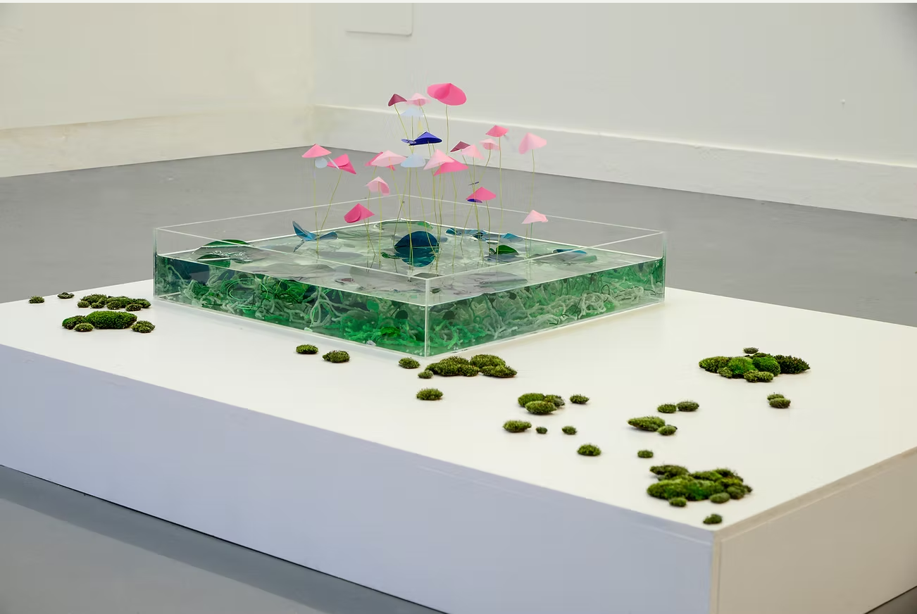 Gracie Beck Schylling