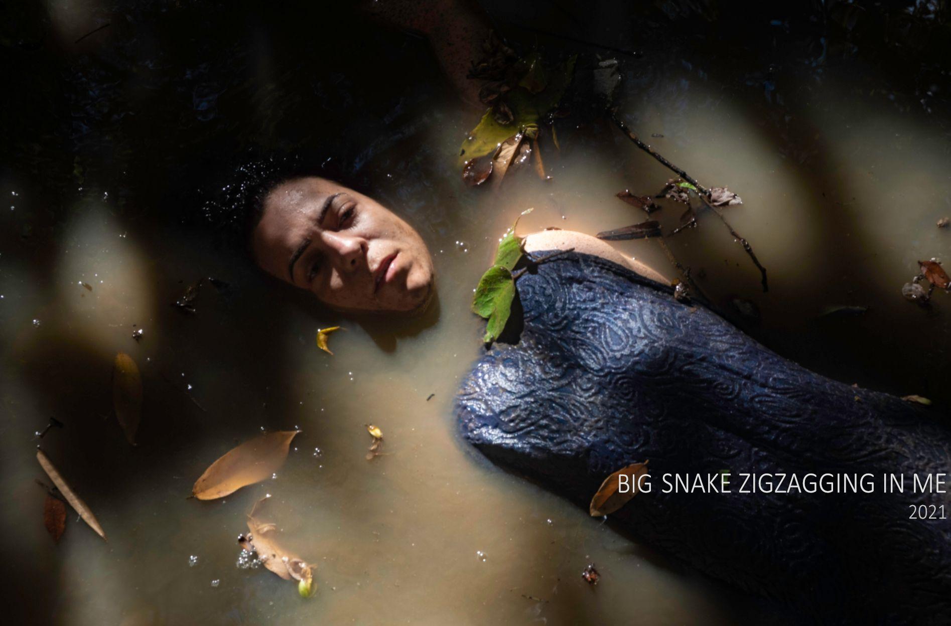 BIG SNAKE ZIGGZAGGING IN ME - RELAUNCH