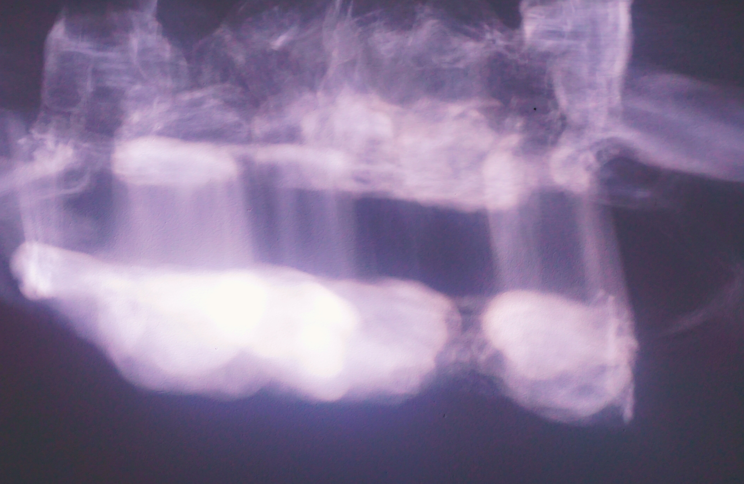 Lambeth Open Studios