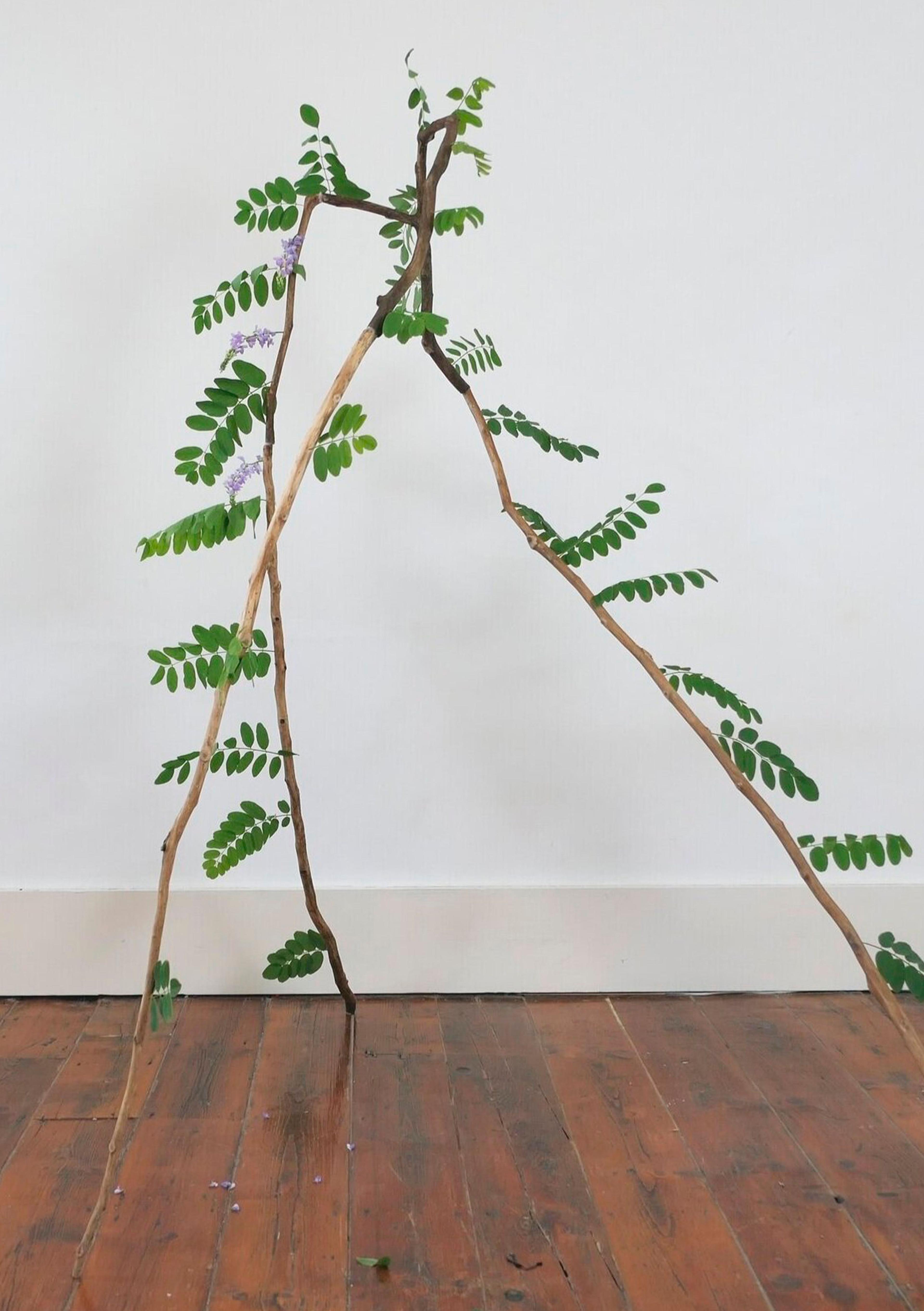 THE KOPPEL PROJECT SHOWCASE